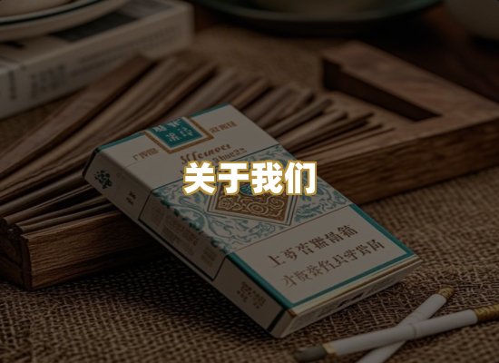 关于我们